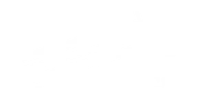 icono camion blanco